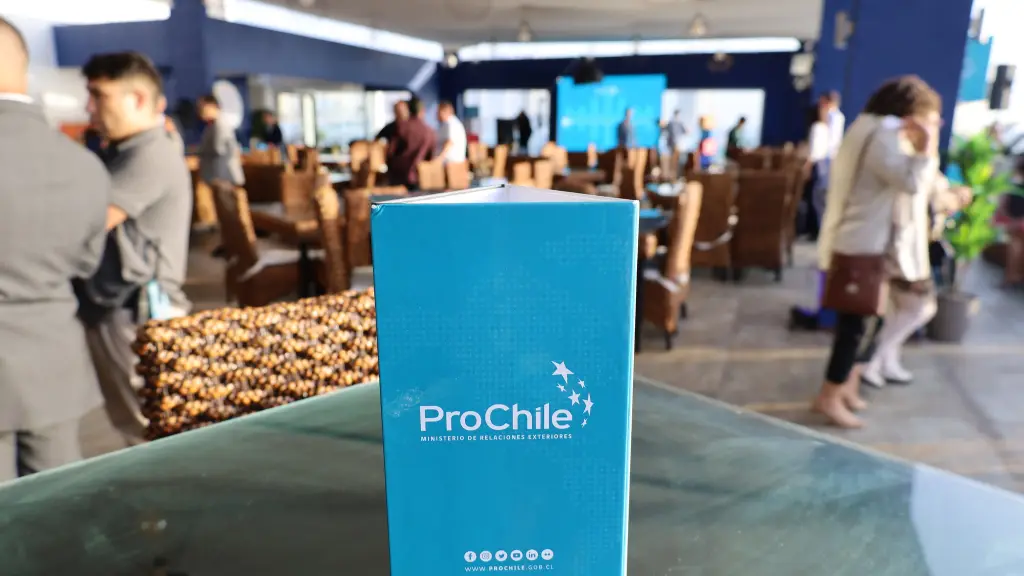 Un total de 5.656 empresas trabajaron con ProChile en 2024 ,ProChile