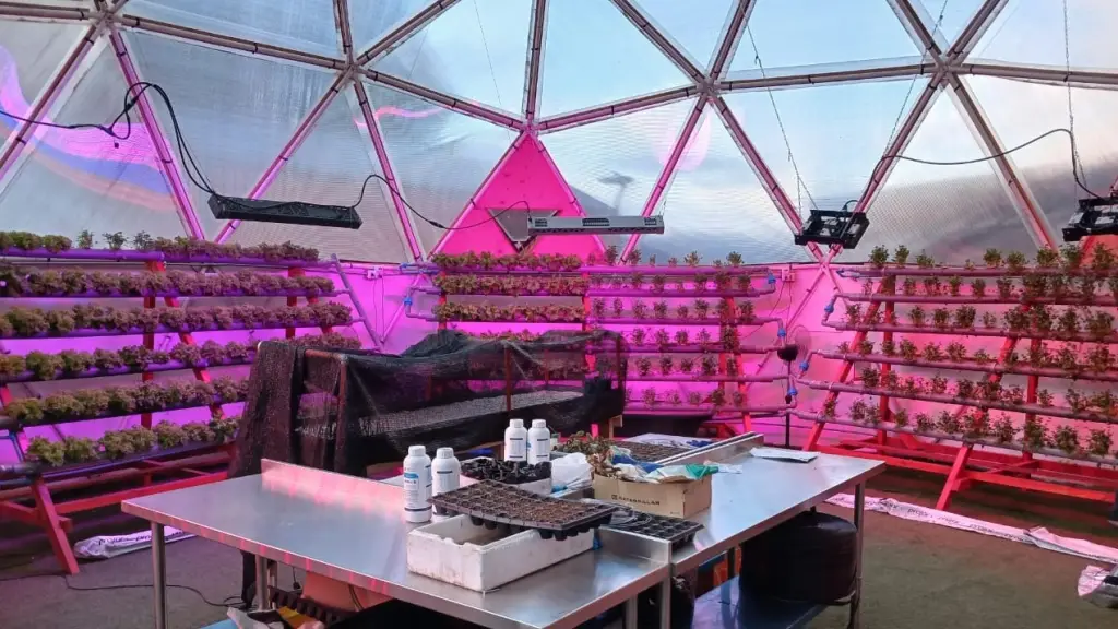 Aysén: hidroponía y tecnología sostenible ,Corfo Aysén