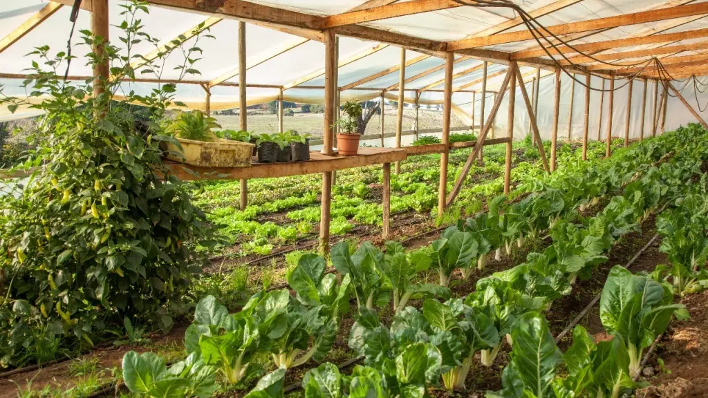 Emprender con impacto: UNAB y Corfo OHiggins lanzan programa clave para la economía regional ,Corfo