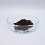 Lignin: A Sustainable Solution for Future Energy Storage, VTT