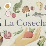 Estrenan serie de TV sobre casos de innovación agroalimentaria en la Región de Los Ríos ,Gentileza 