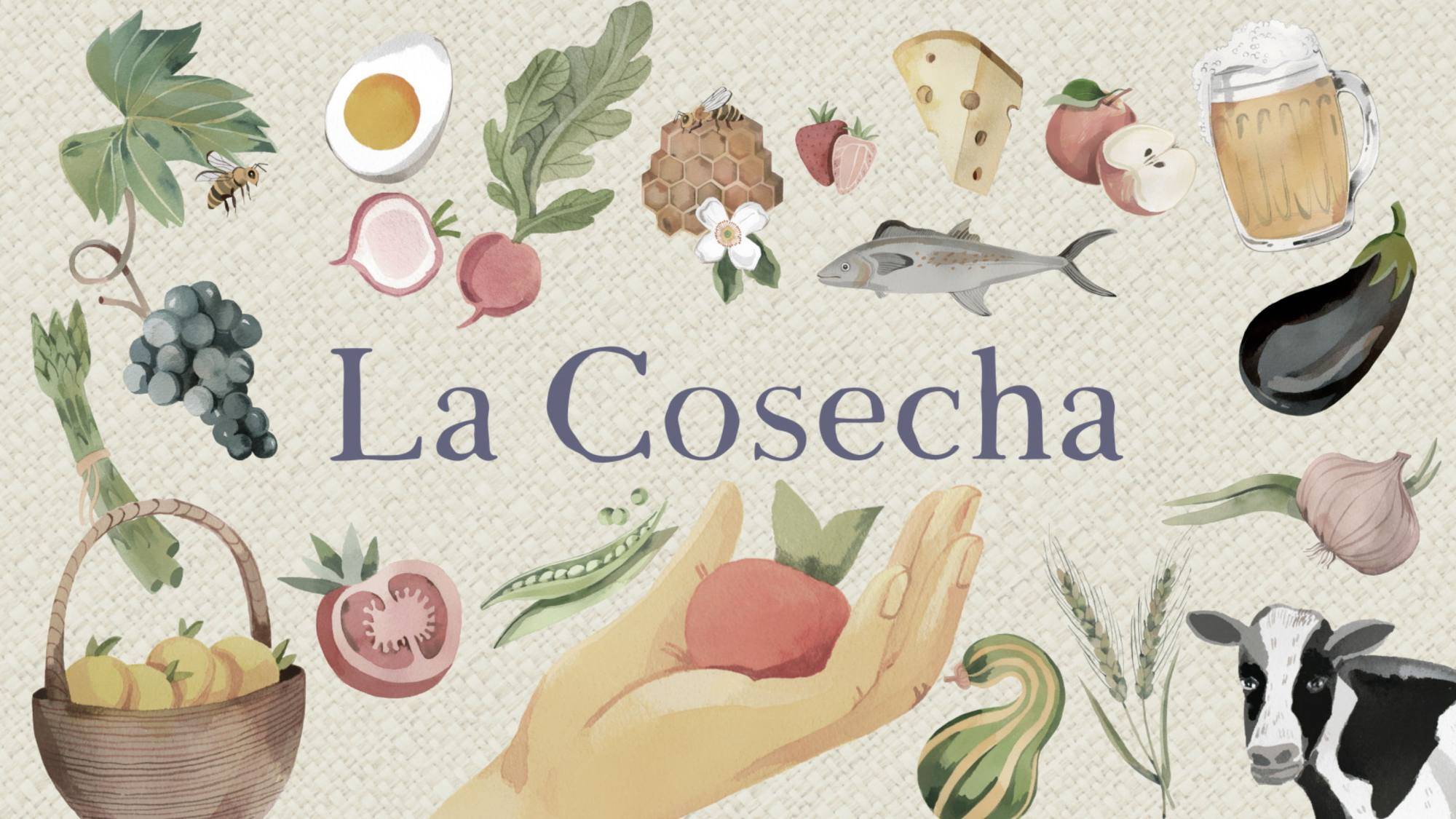 Estrenan serie de TV sobre casos de innovación agroalimentaria en la Región de Los Ríos, Gentileza 