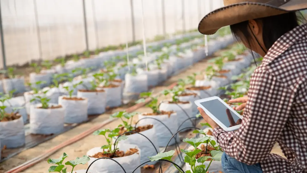 Corfo lanza Red de Fomento Sostenible para modernizar el agro de Maule y Ñuble con tecnologías digitales ,Gentileza 