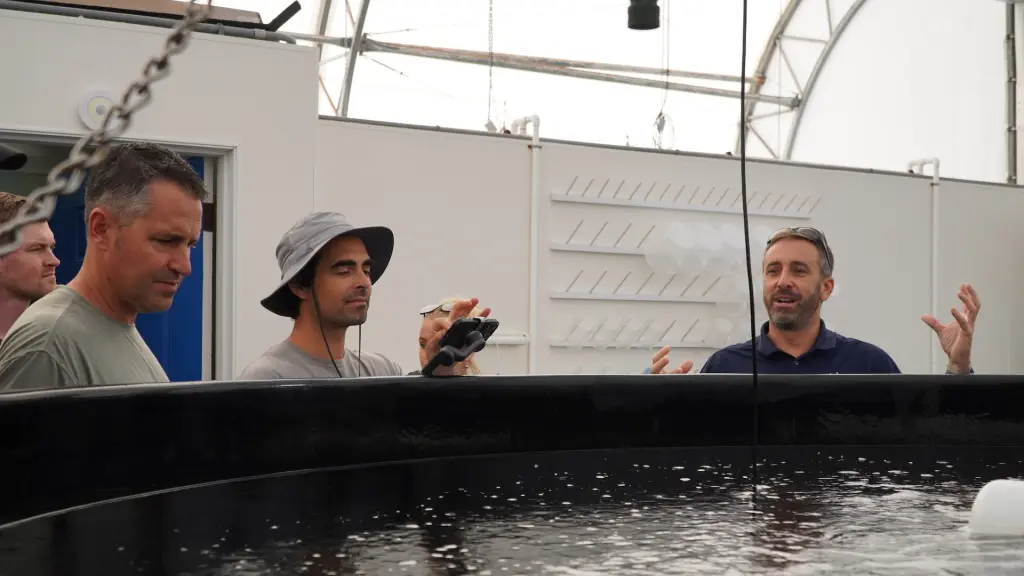 CREST 2025: Hatch Blue lanza convocatoria mundial para startups de alto impacto en acuicultura y economía azul sostenible ,Hatch Blue