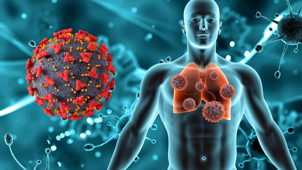 Las defensas también se entrenan (y el momento es ahora): Hábitos, nutrientes y acción oportuna para fortalecerlas ,Gentileza 