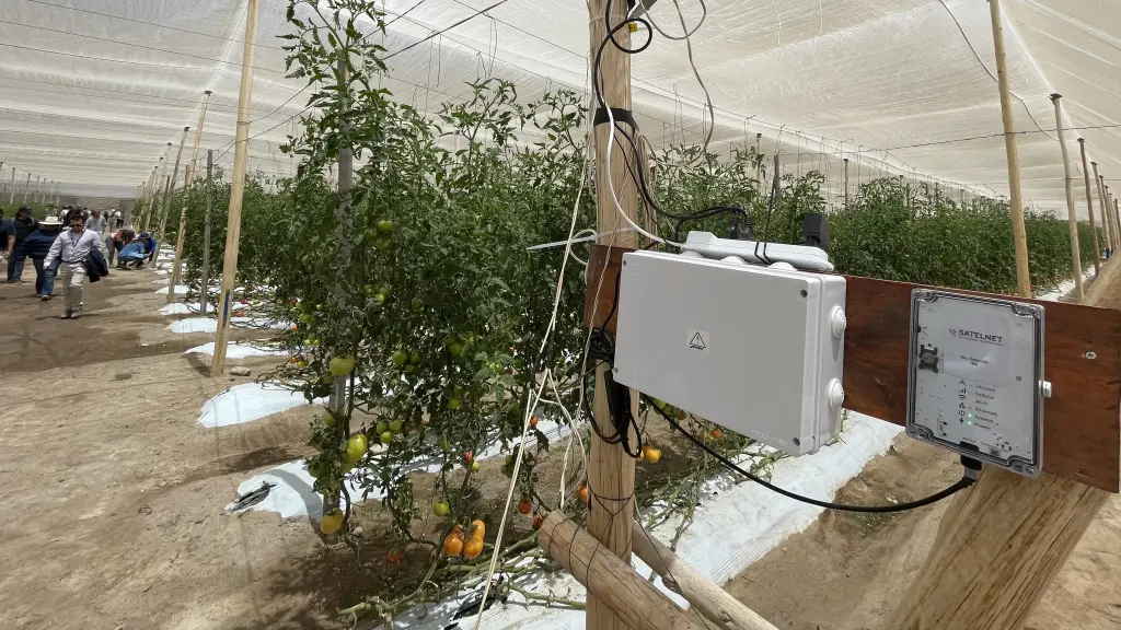 Agro Horizon Arica: evento de 3 días estará enfocado en los desafíos de la agricultura en el desierto ,Corfo Arica