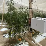 Agro Horizon Arica: evento de 3 días estará enfocado en los desafíos de la agricultura en el desierto ,Corfo Arica