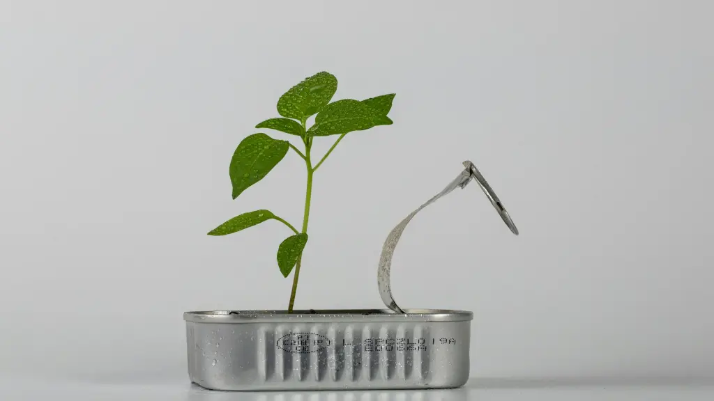 Instituto 3IE y HENUA TECHNOLOGIES lanzan 5ta versión de programa para startups sostenibles ,Unsplash