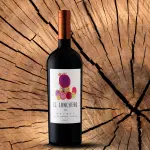 Marcela Chandía lanza El Canchero: su primer Malbec chileno y un grito de independencia en un mundo de hombres ,Gentileza 