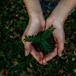 DropIt y EcoDesierto lideran el cambio sostenible desde Chile ,Unsplash