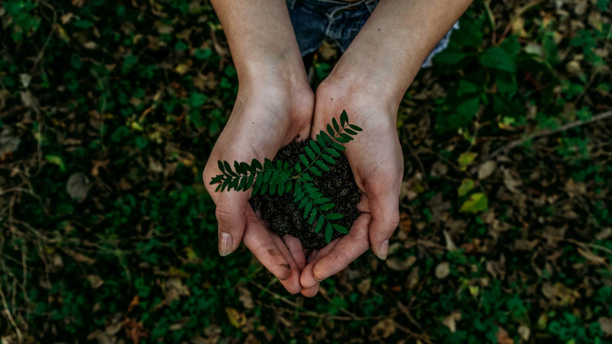 DropIt y EcoDesierto lideran el cambio sostenible desde Chile, Unsplash