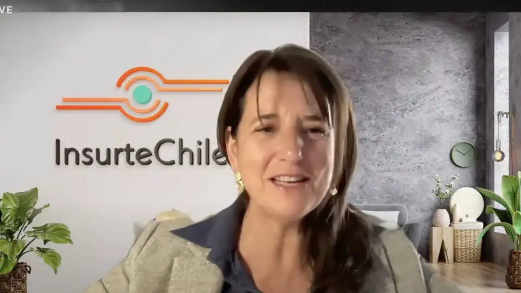 Andrea Triat, directora ejecutiva de InsurteChile. ,Entnerd.com