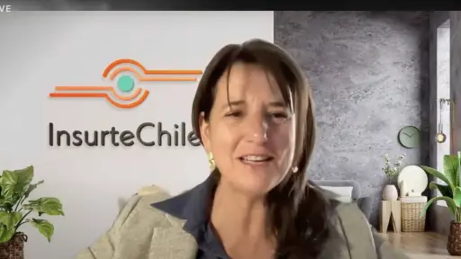 Andrea Triat, directora ejecutiva de InsurteChile. ,Entnerd.com