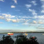 Empresas multisectoriales ya pueden postular al programa Acelera Mapu Lahual de Corfo Los Lagos ,Entnerd.com