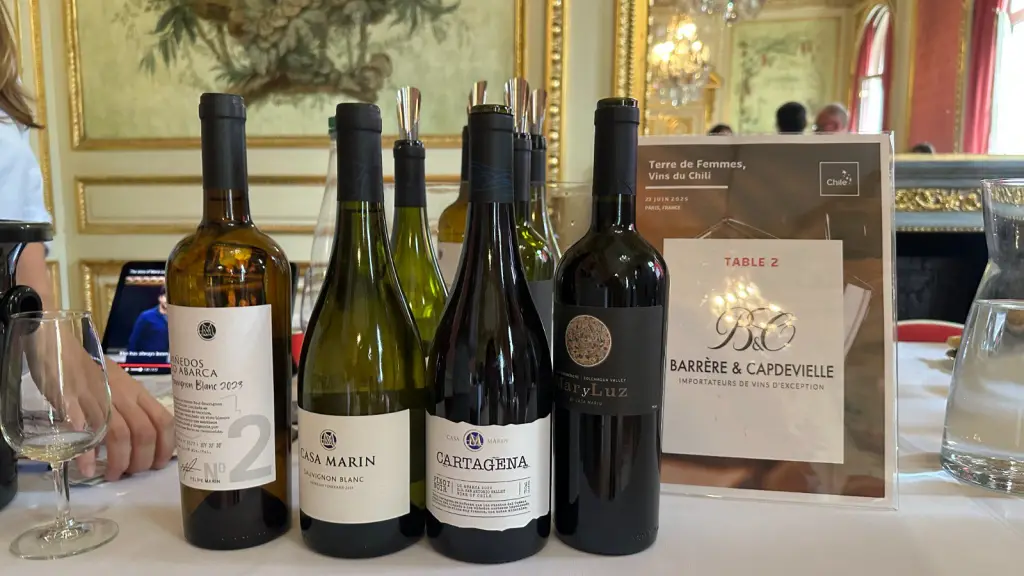 Terre de Femmes, Vins du Chili, cata de vinos en París  ,ProChile