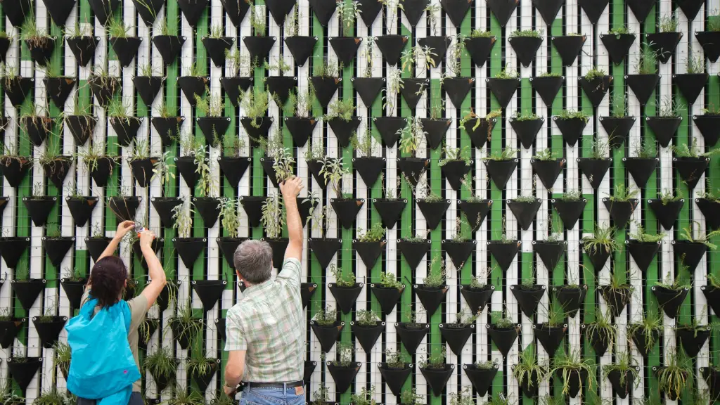 Una nueva oportunidad para docentes de Chile que buscan cambiar el mundo ,Unsplash