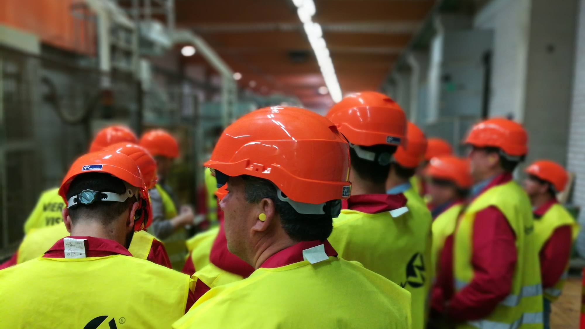 Sawmill Safari 2025: South American forest industry leaders tour Finland and Estonia, Niina Fu