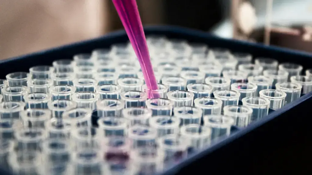 Xeptiva Therapeutics: Uruguayan scientific start-up raises ,R3 Stem Cell Therapy México