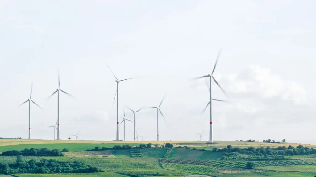 The Climate Program of the Central Chamber of Commerce supports SMEs in starting climate action ,Unsplash