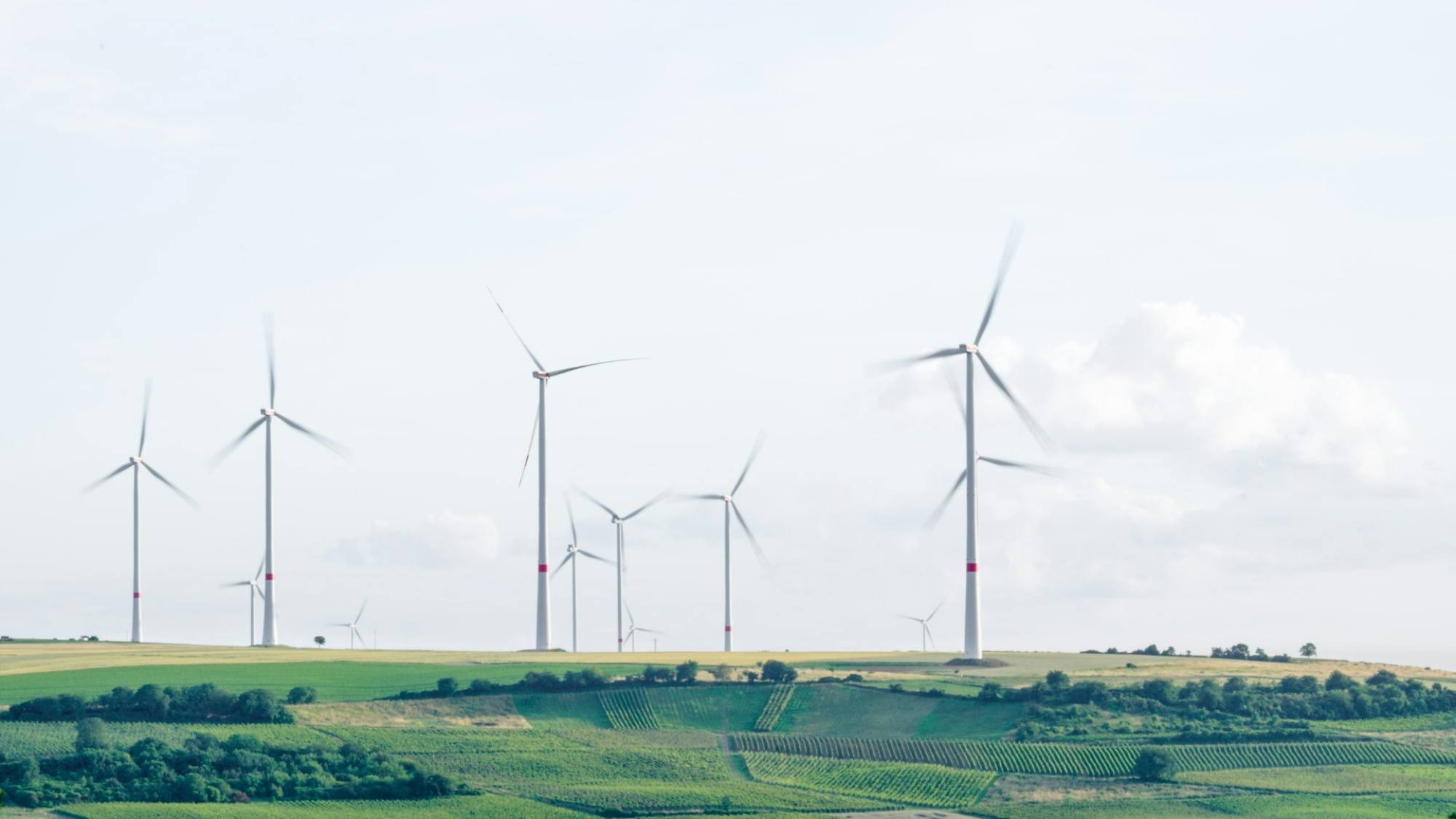 The Climate Program of the Central Chamber of Commerce supports SMEs in starting climate action, Unsplash