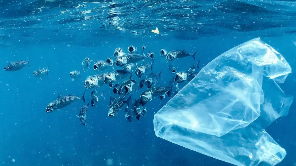 Buscan 10 soluciones innovadoras para acelerar la circularidad de los plásticos ,Unsplash