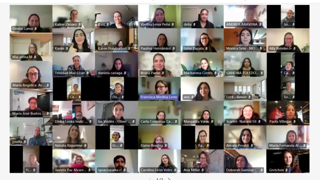 Programas Inicia y Expande de Corfo seleccionan 89 nuevos emprendimientos femeninos ,Corfo