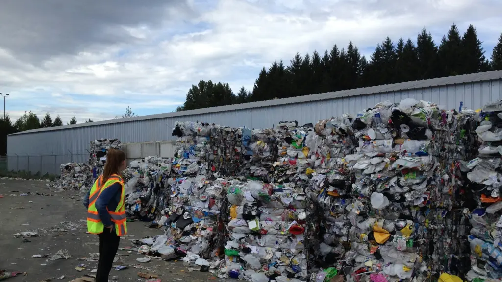 Corfo lanza convocatoria para entregar 1.200 becas de especialización en áreas clave para la sostenibilidad ,Unsplash