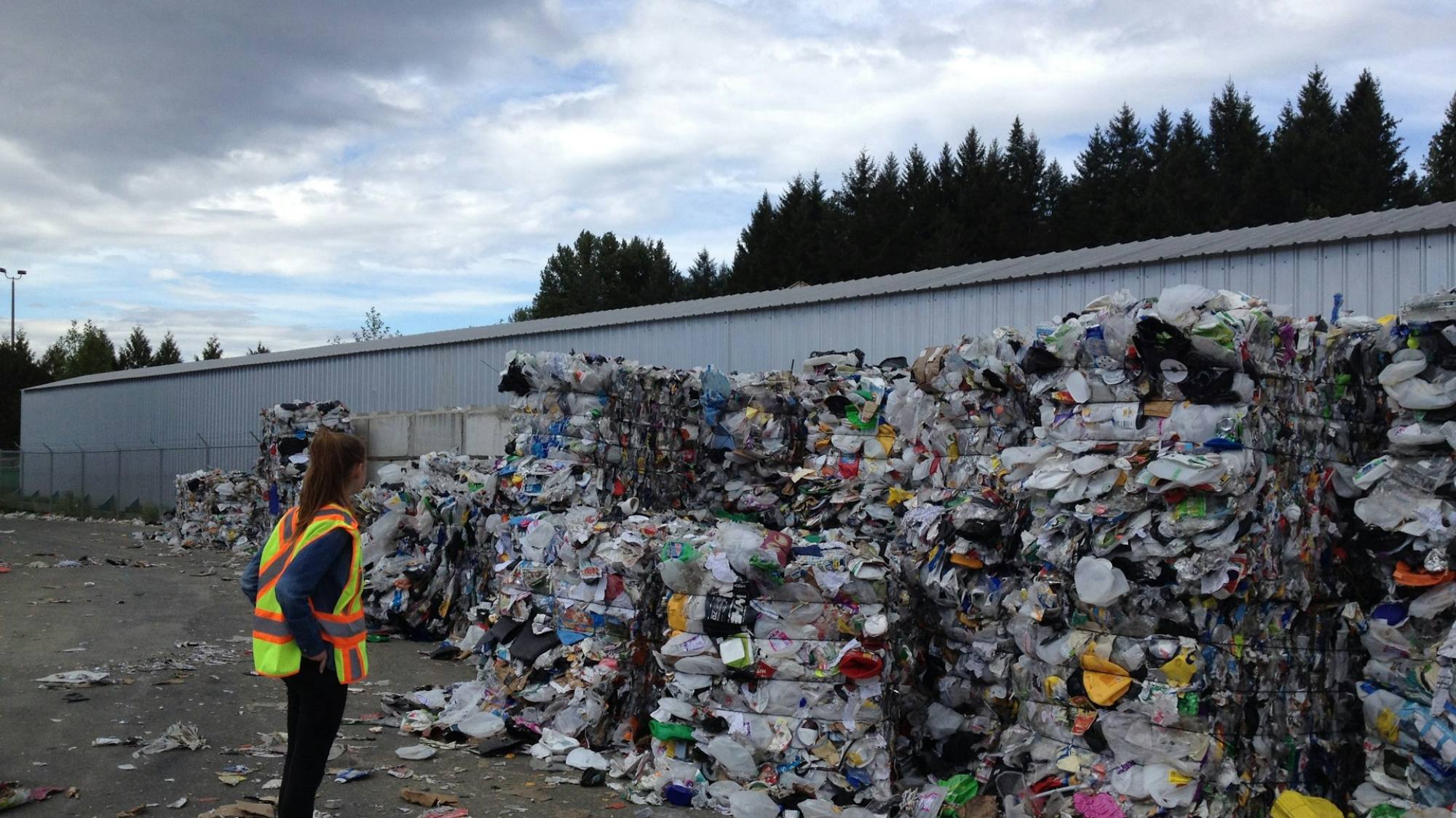 Corfo lanza convocatoria para entregar 1.200 becas de especialización en áreas clave para la sostenibilidad, Unsplash