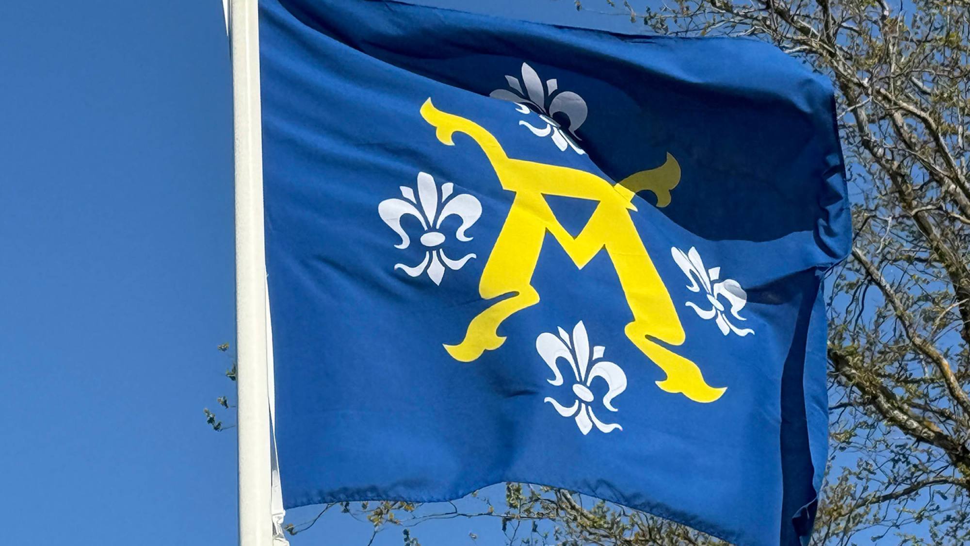 City of turku's flag