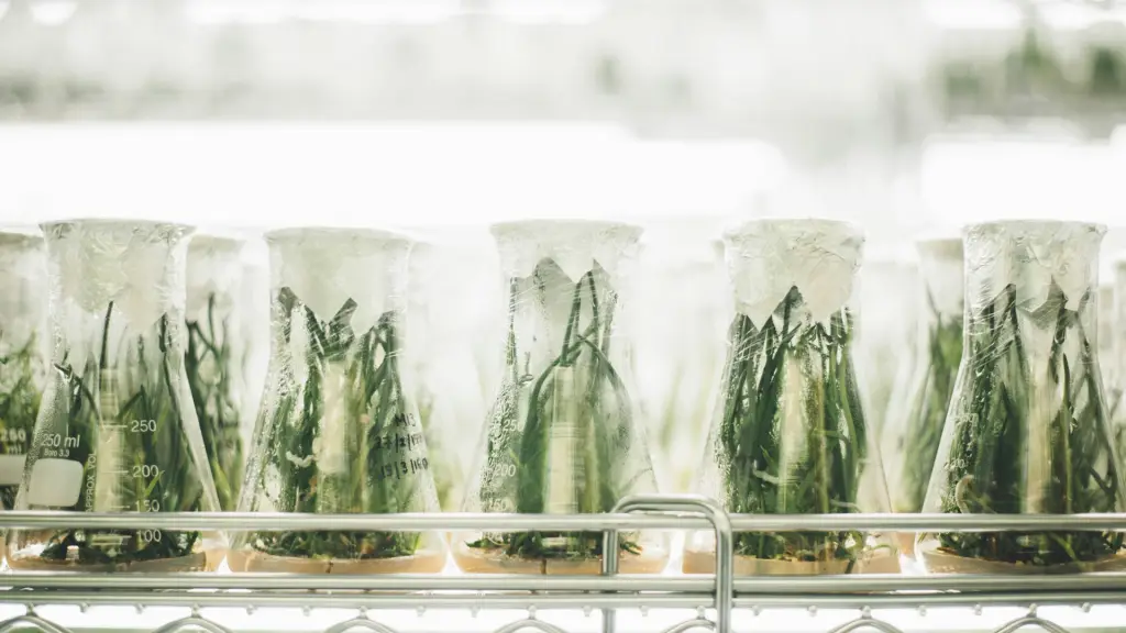 Abren convocatoria al Premio Nacional de Innovación Alimentaria 2025 ,Unsplash