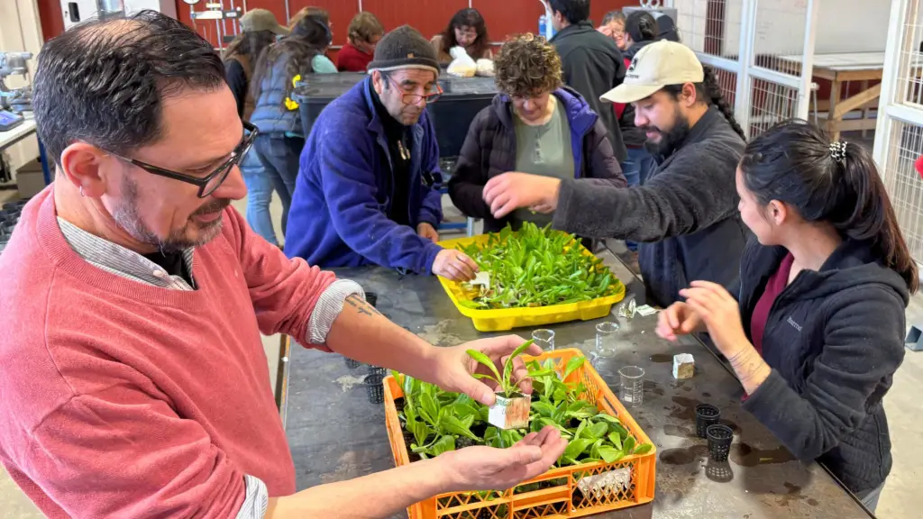 INACAP Coyhaique impulsa la innovación hortícola con talleres de hidroponía apoyados por el CDP Aysén ,Corfo Aysén