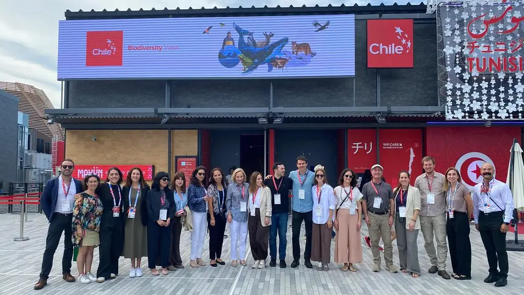 La biodiversidad chilena y su exitoso modelo de conservación se exhibe al mundo en la Expo Osaka 2025 ,ProChile