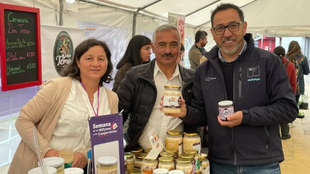 Semana de las Mipymes y Cooperativas 2025 llega a Los Lagos ,Corfo Los Lagos