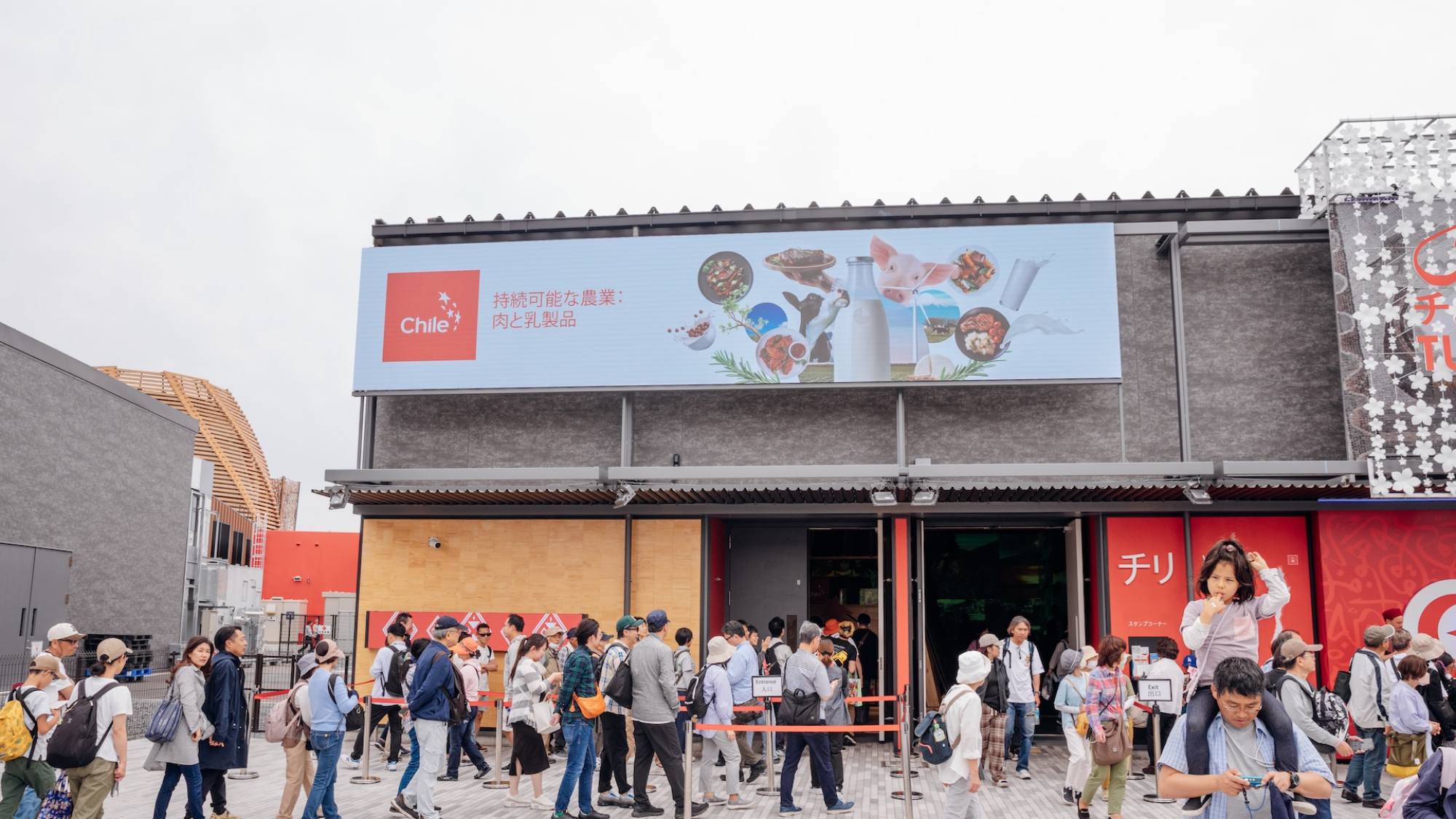 Participación histórica en Expo Osaka 2025, ProChile