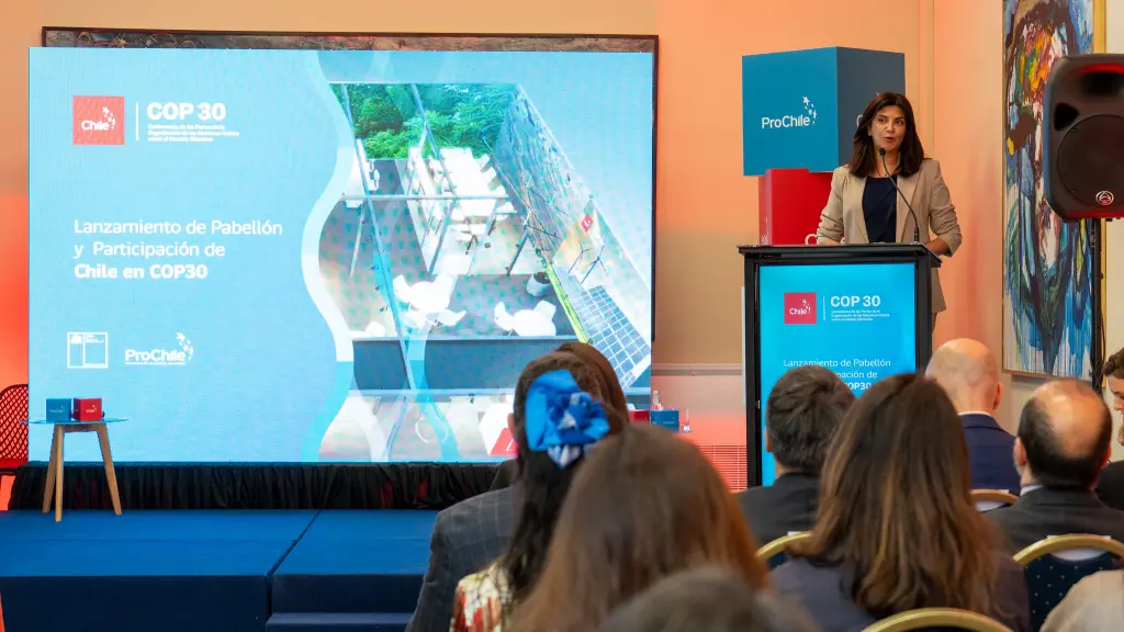 Directora General (S) de ProChile, Paulina Valderrama ,ProChile