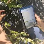  OST LAB AGRO: el primer laboratorio digital frutícola de Chile ,INIA