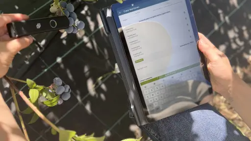  OST LAB AGRO: el primer laboratorio digital frutícola de Chile ,INIA