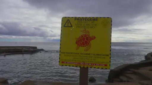 ¿Dónde descansan las tortugas de Rapa Nui? ,Gentileza 