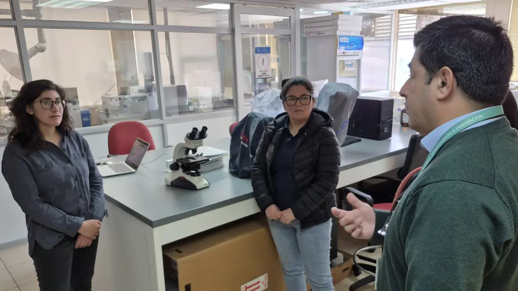 Seremi de Ciencia invita personalmente a la comunidad científica a sumarse al Encuentro Innova con Ciencia 2025 ,Seremi de Ciencia / Antofagasta