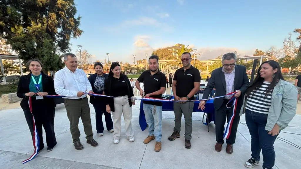 De la proteína de la mosca soldado negro crearon alimento para mascotas ,Corfo Los Lagos