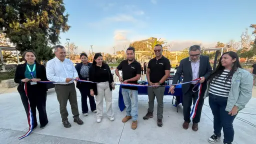 De la proteína de la mosca soldado negro crearon alimento para mascotas ,Corfo Los Lagos