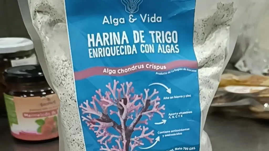 De las algas a los biorreactores: CeTA, CeTA