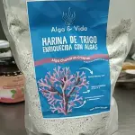 De las algas a los biorreactores: CeTA ,CeTA