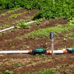 Corfo impulsa innovador sistema de riego agrícola hecho con plásticos reciclados en Llanquihue ,Corfo Los Lagos