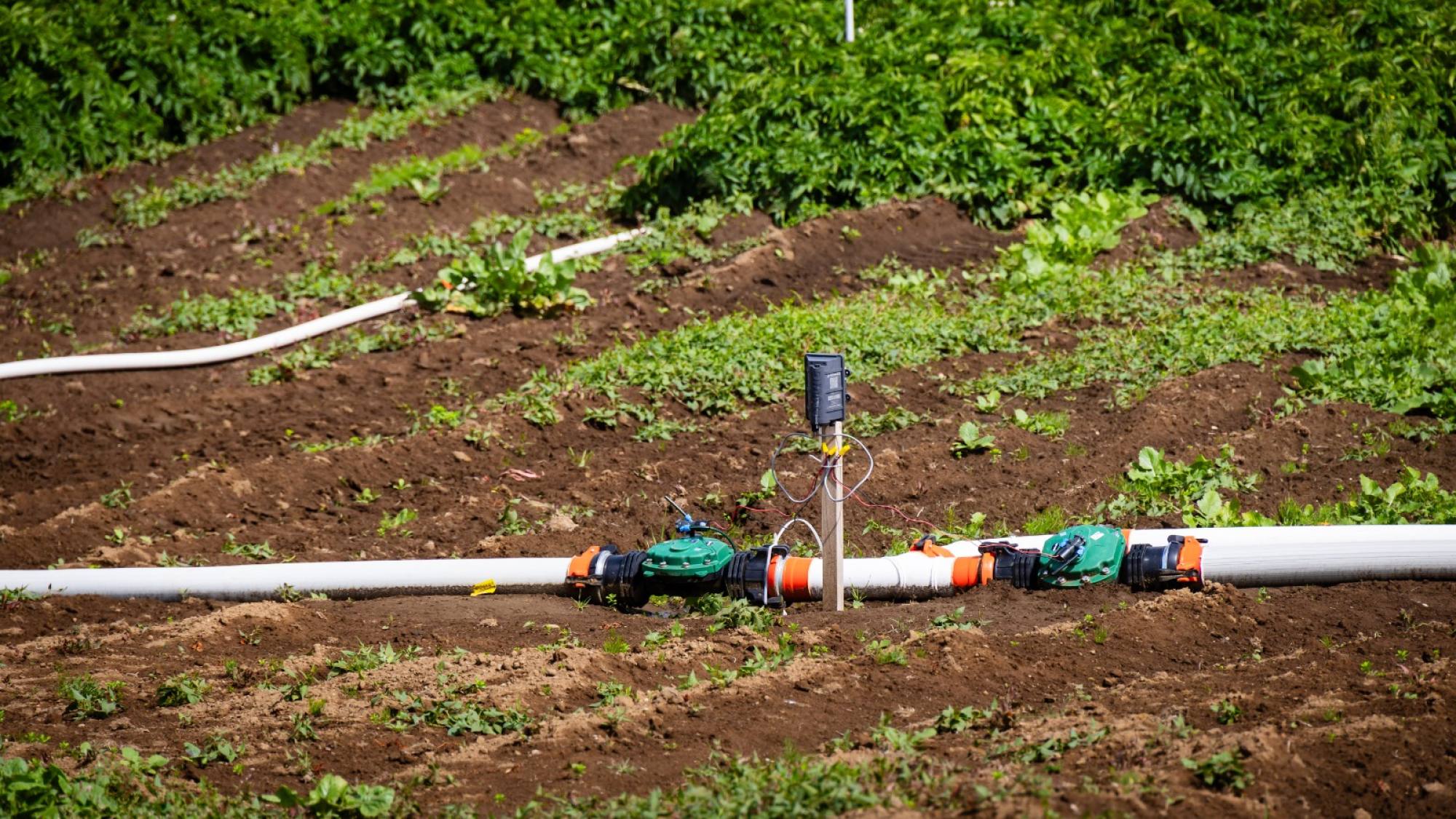 Corfo impulsa innovador sistema de riego agrícola hecho con plásticos reciclados en Llanquihue, Corfo Los Lagos