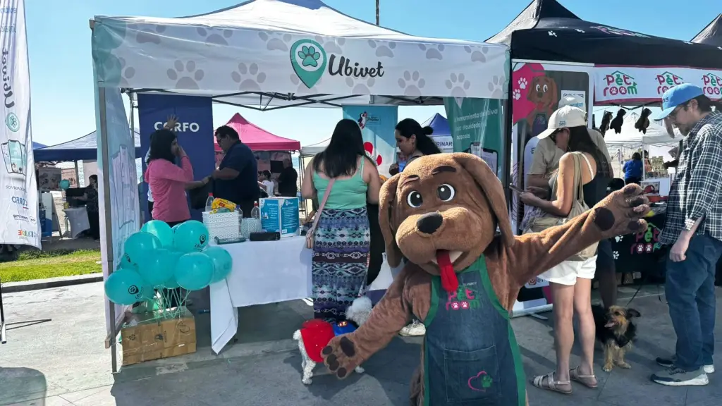 Ubivet: lanza su aplicación para fortalecer el cuidado y bienestar de mascotas en Iquique ,Corfo Tarapacá