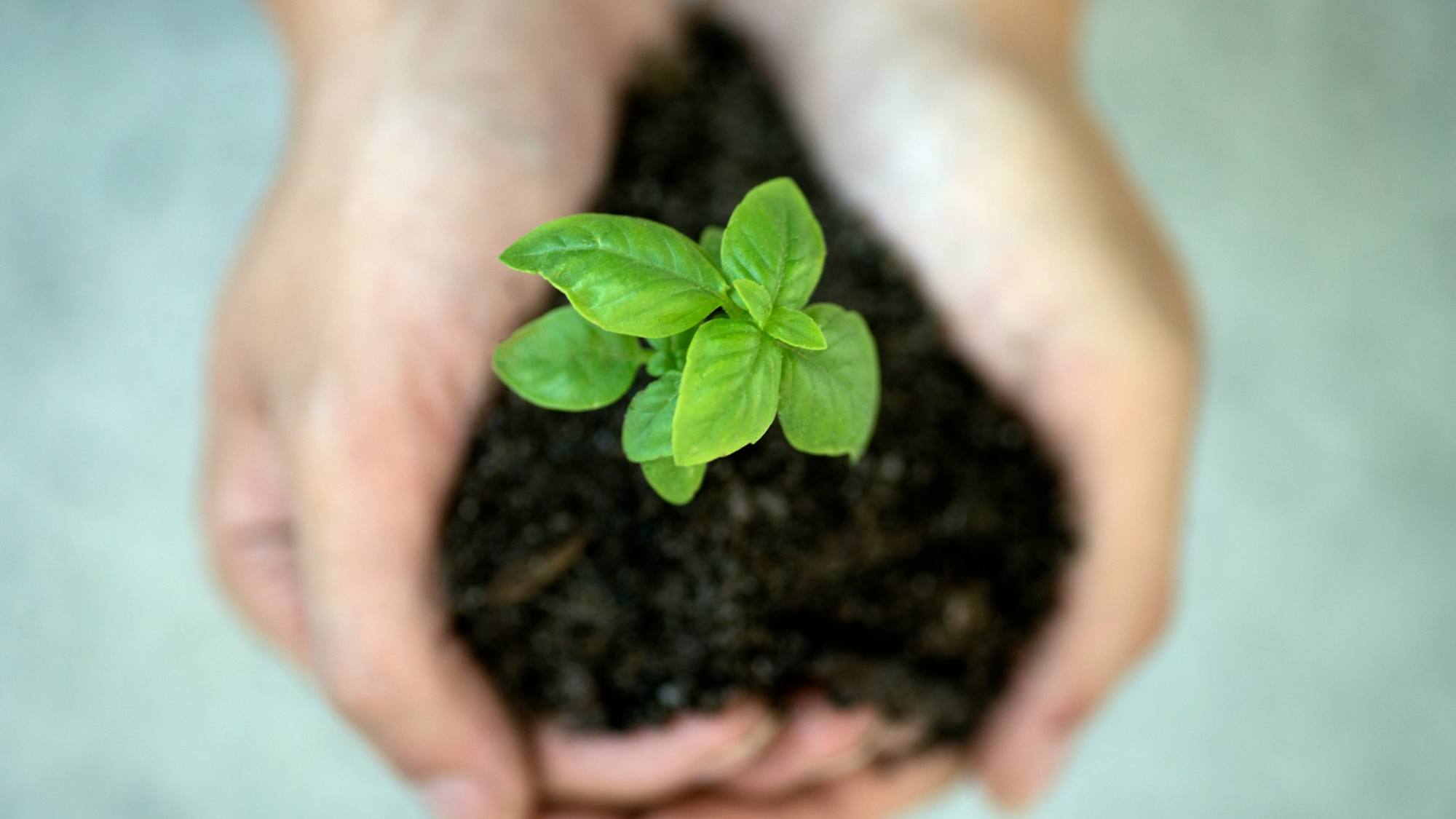 Corfo destaca resultados de sus programas de aceleración y escalamiento de emprendimientos con foco sostenible, Corfo