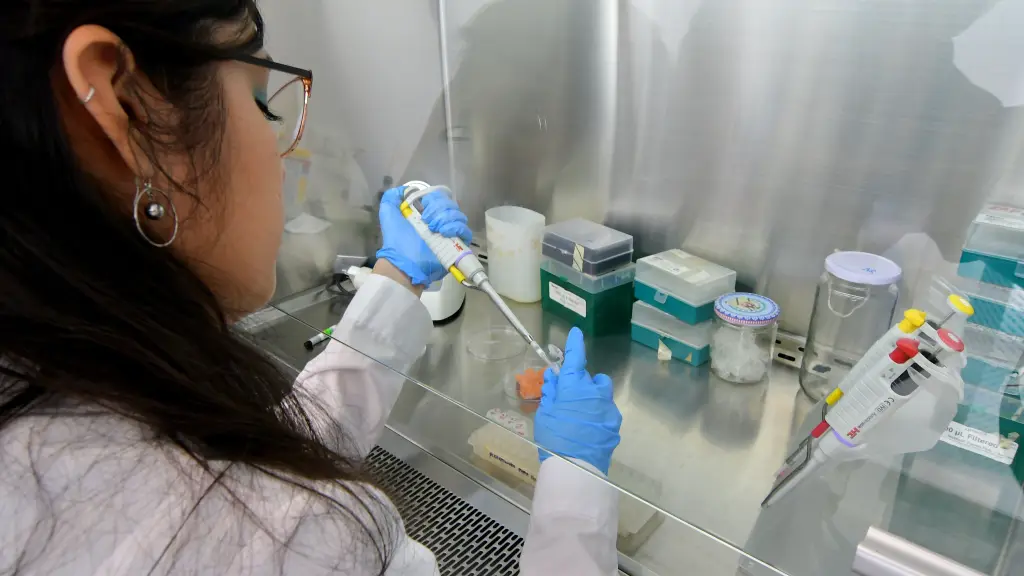 Estudio de Corfo e Icare revela cómo la I+D e innovación impulsan la productividad  ,Corfo