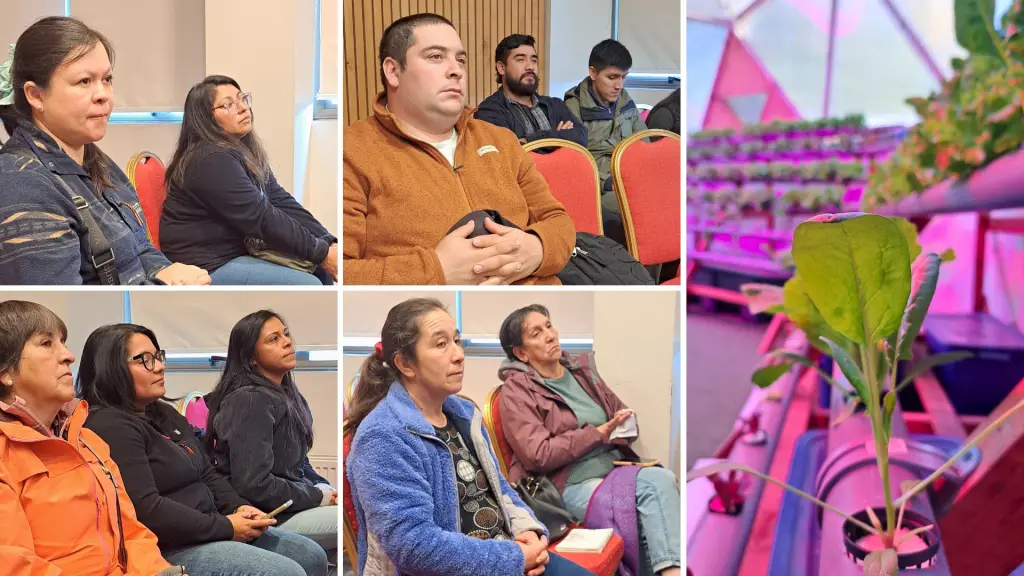 Corfo e INACAP impulsan innovación hortícola en Aysén ,Corfo Aysén