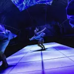 Fern Orchestra - Vedenjakaja, 2023 ,Robert Seger